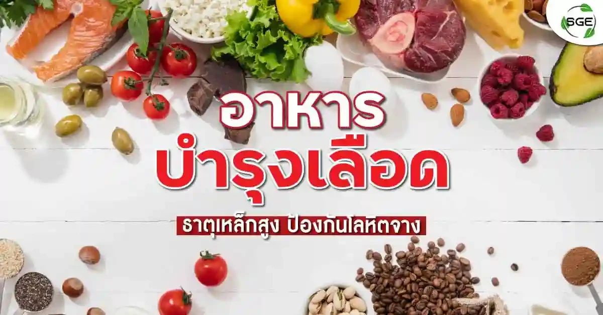 อาหาร บํารุงเลือด